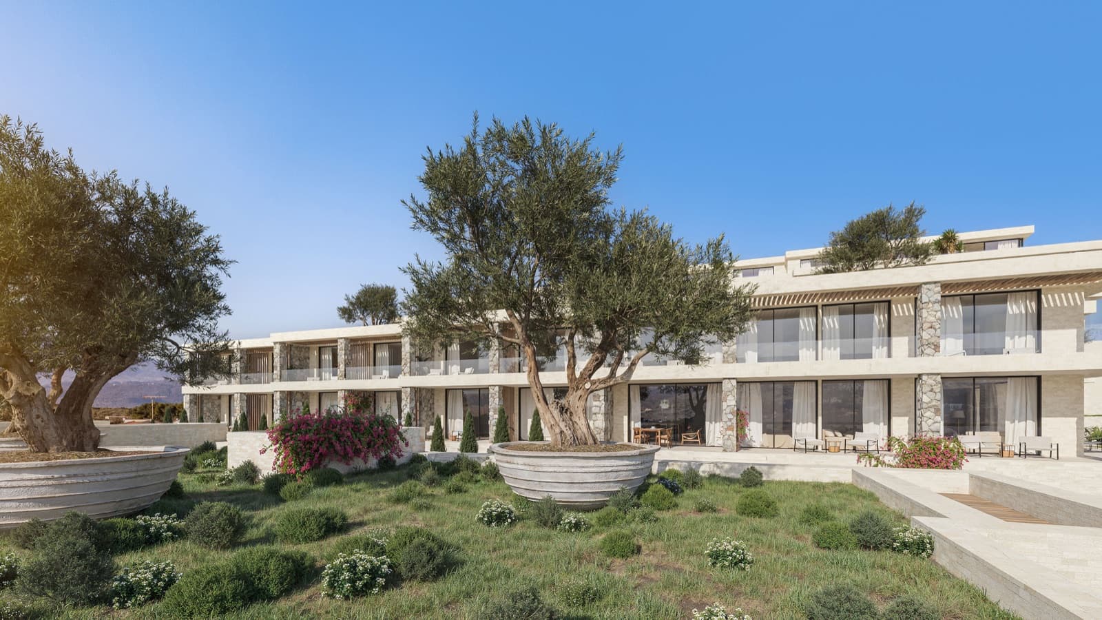 196 Kalyves exterior with mature olive trees